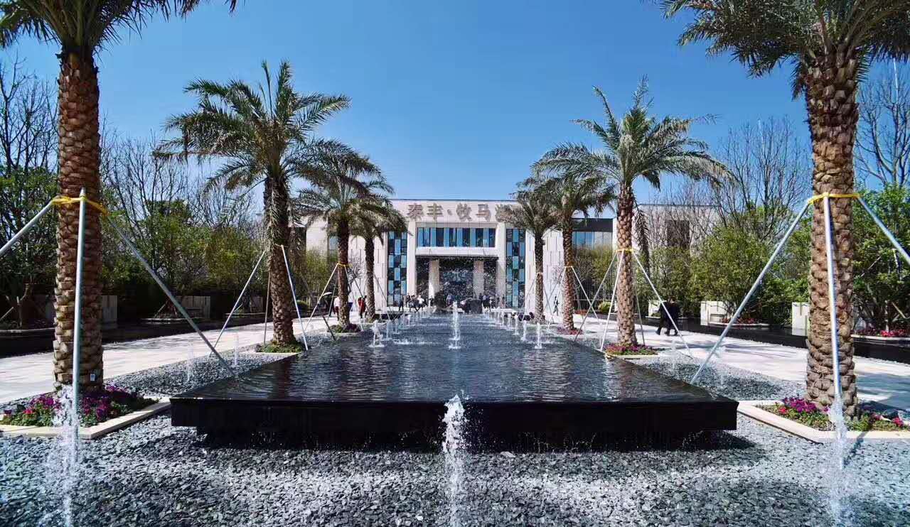 大亚湾泰丰牧马湖一楼带院子,大亚湾泰丰牧马湖精装标准