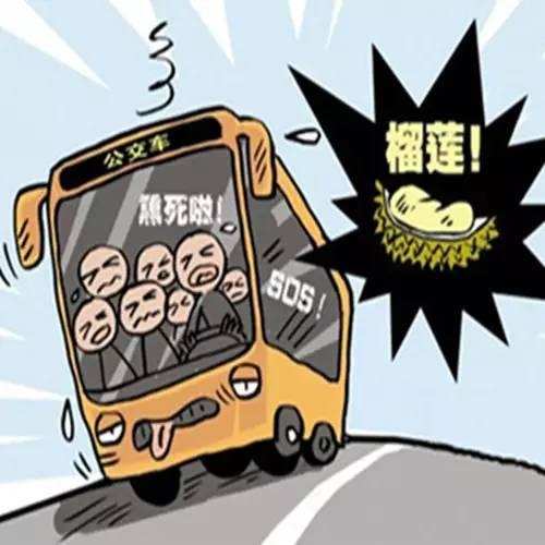 车里有榴莲味怎么去除,在车里吃榴莲怎么散味道