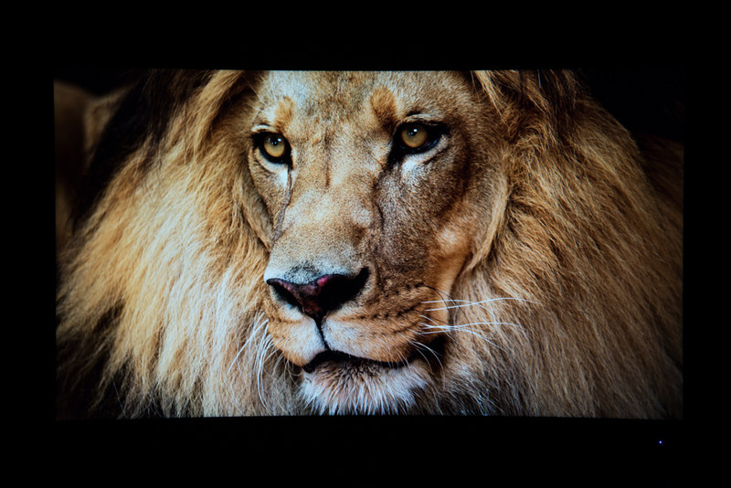 hkcg4plus显示器花屏,hkc的g40显示器评测