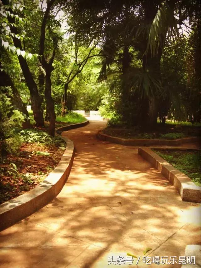 再见了龙狮城,再见了八年级