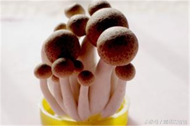 胃癌患者必吃的十种食物,胃癌吃什么新鲜蔬菜或水果最好