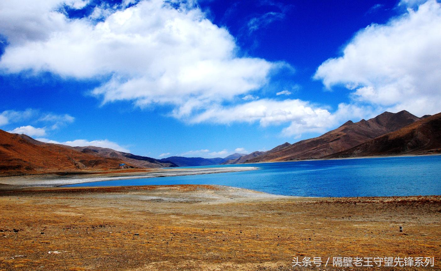 西藏旅游前吃什么药膳,去西藏前吃点什么不会高反