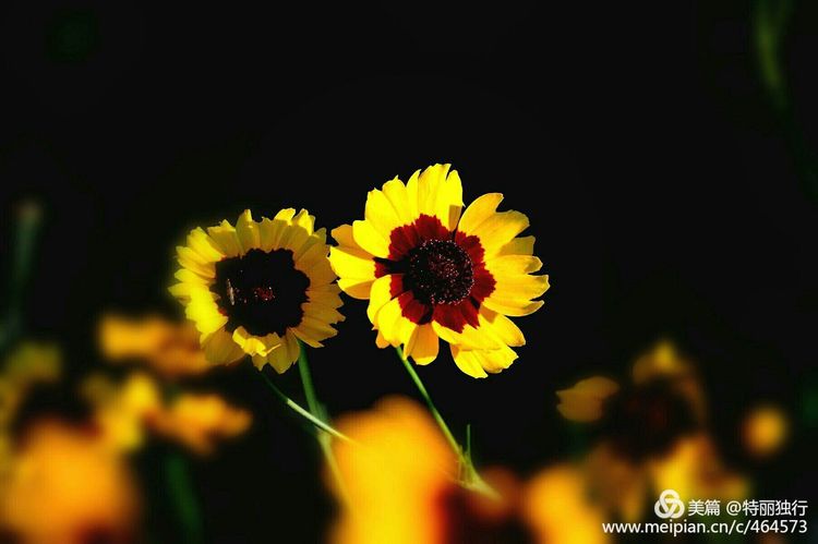 走过四季夏天最美,走过春夏美丽的秋冬