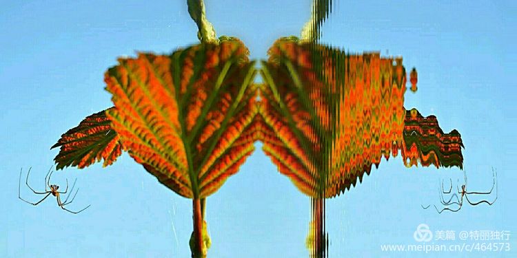 走过四季夏天最美,走过春夏美丽的秋冬