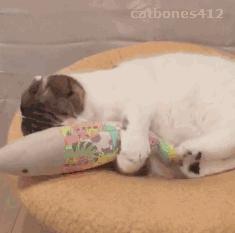 你够了，舔了半天还没舔完（GIF多图）