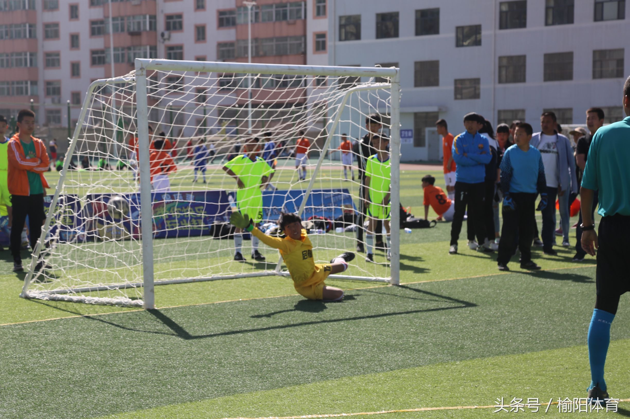榆阳区中小学生运动会运动项目,榆林市中小学生研学实践活动