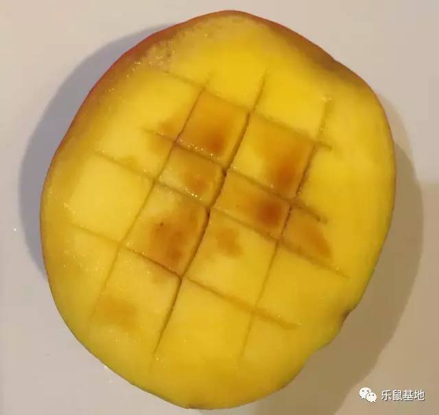 芒果的发展史 (一分钟带你了解芒果)