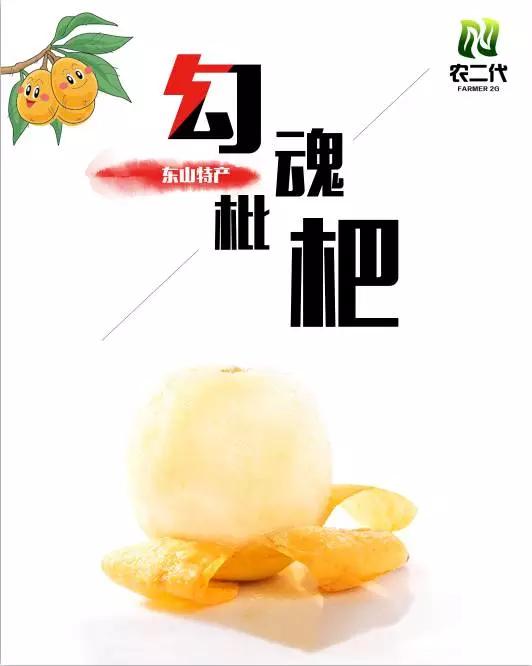 苏州东山白玉枇杷采摘园图片,苏州东山太湖名居白玉枇杷采摘园