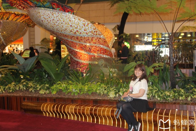 蜜月胜地之马尔代夫,马尔代夫水下餐厅芙拉瓦丽