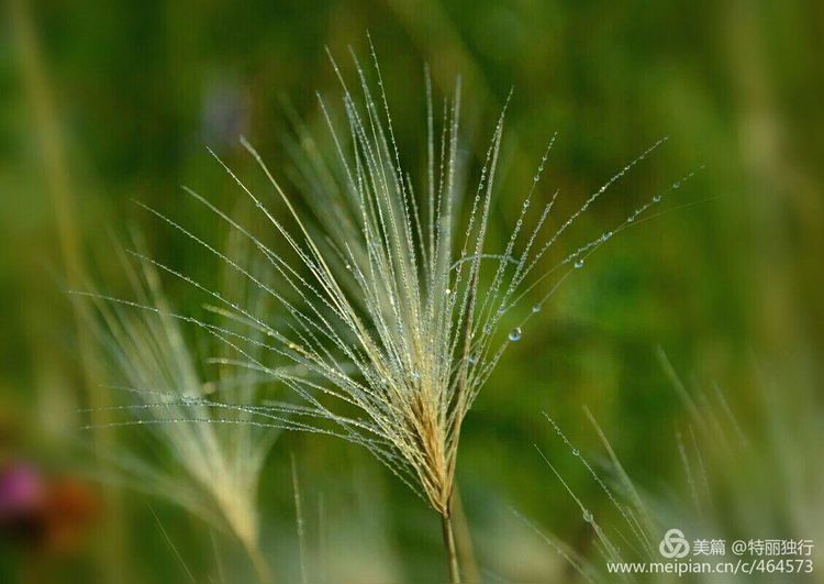 走过四季夏天最美,走过春夏美丽的秋冬