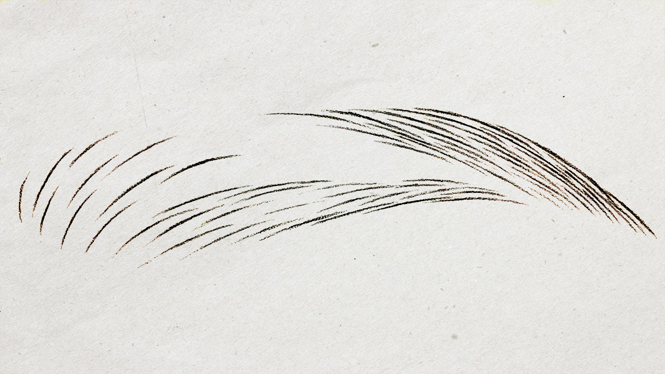 纸上仿生眉线条画法分解,线条眉纸上单根画法与步骤