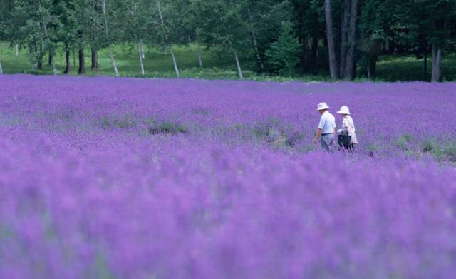 电信99元不限流量套餐值得吗,电信109元全国不限量套餐