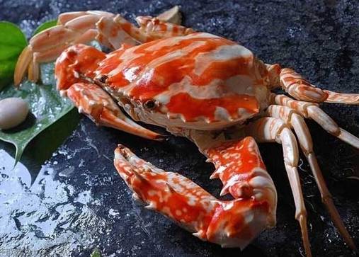 哈尔滨吃货，这8种你爱吃的海鲜全面禁售，活的冰鲜的统统不能卖