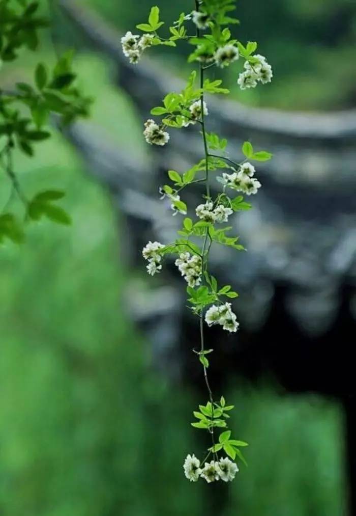 老祖宗留下来的7句狠话句句在理,老祖宗留下来的金句句句在理