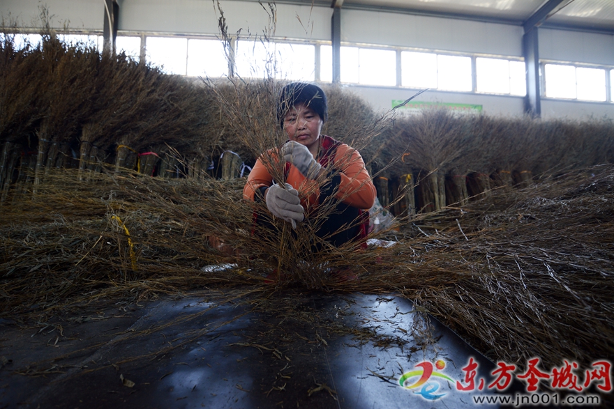 小扫帚勇闯大世界