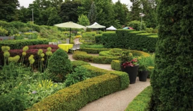 多伦多周末有什么好玩的地方,多伦多八月好去处