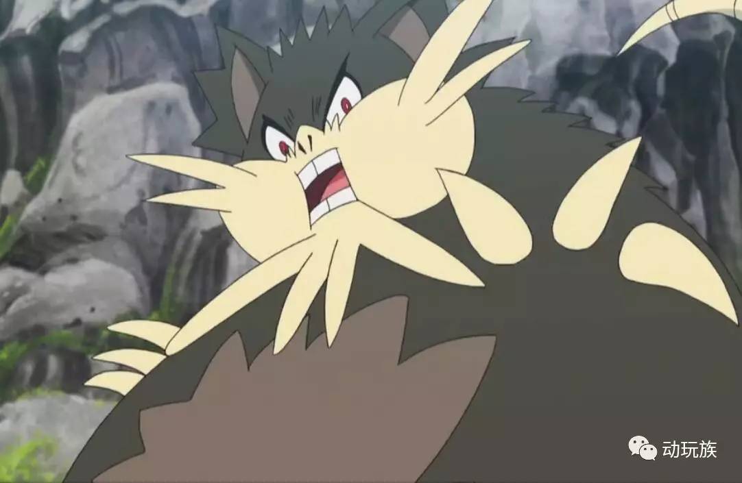 精灵宝可梦日月第79集,精灵宝可梦日月第六集