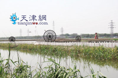 农耕园体验活动感受劳动乐趣,农耕生活体验园