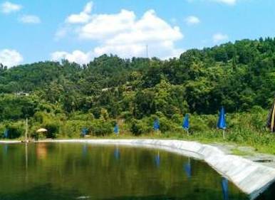 重庆私藏好吃的地方,重庆荣昌附近哪里有好玩的农家乐