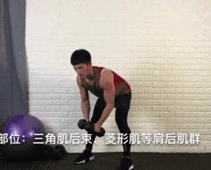 哑铃塑形动作大全,20斤哑铃练手臂的全套动作