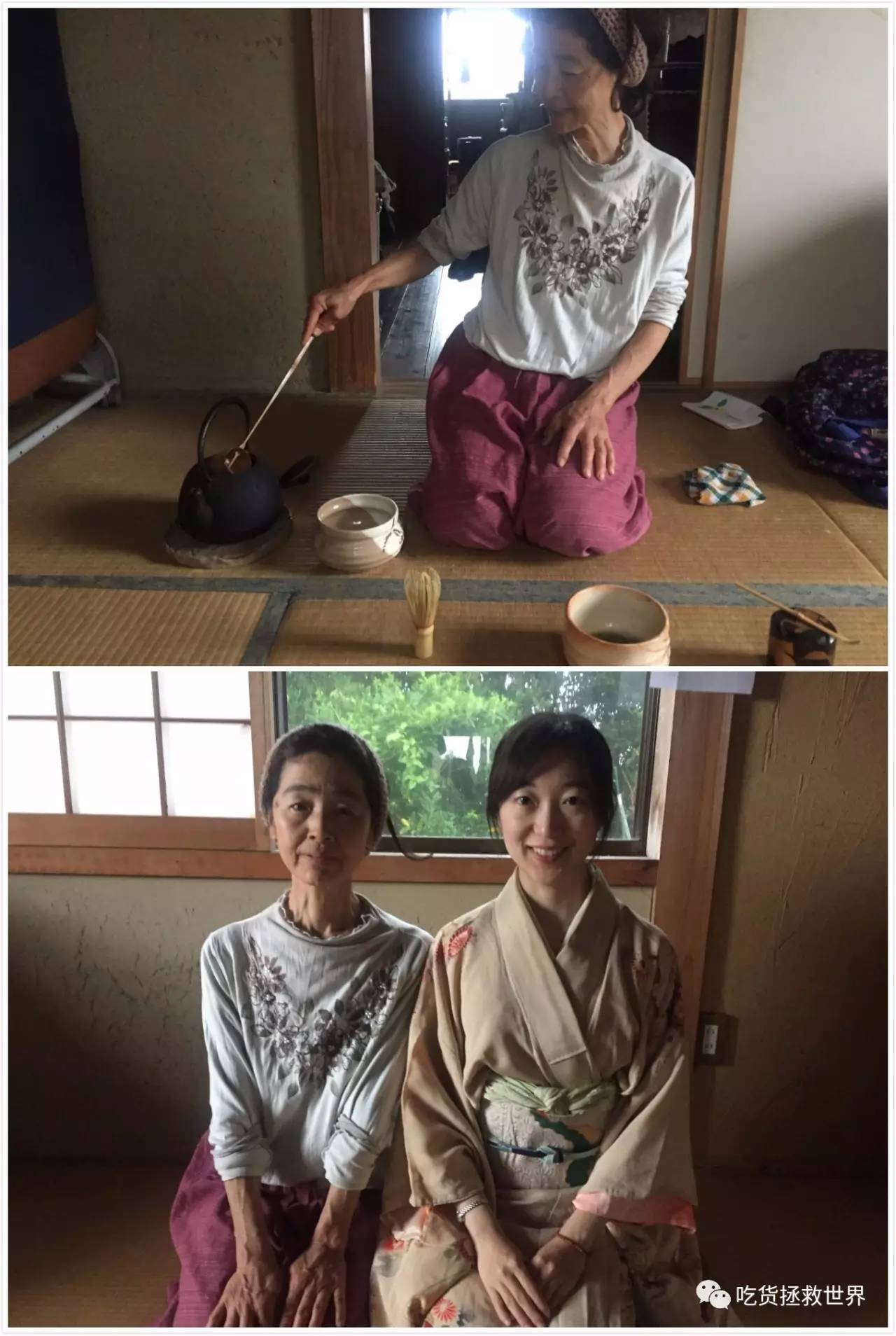 鎴戝湪妯辫姳灏忛晣,鍦ㄦū鑺遍鑸炵殑瀛ｈ妭