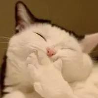 四川各地方言排行榜,四川最难十大方言