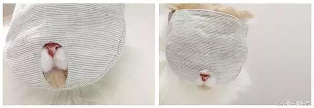 爱妖经｜给主子一个蒙眼神器，玩你想玩不敢玩的play