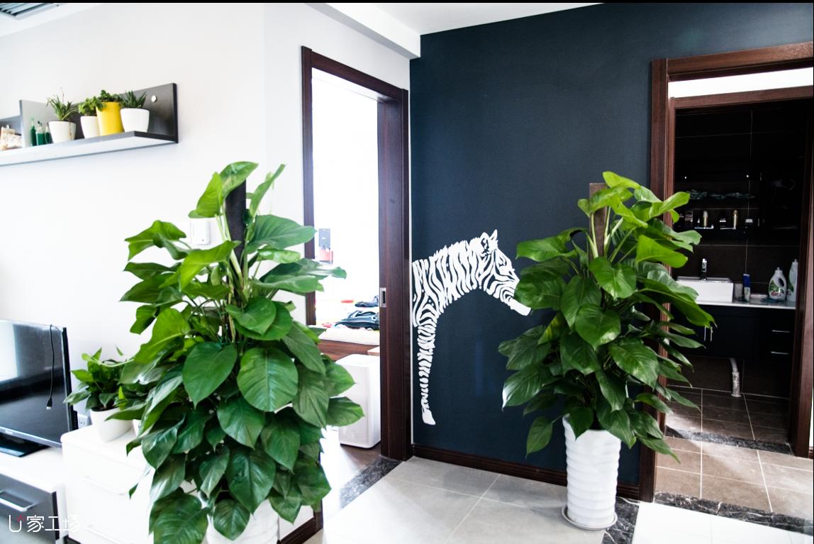 黑板漆是什么,黑板漆到底是什么