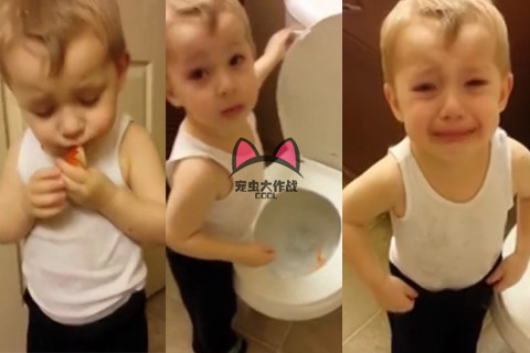 爱宠去世，家里的孩子伤心不已，6种方法让孩子面对宠物死亡