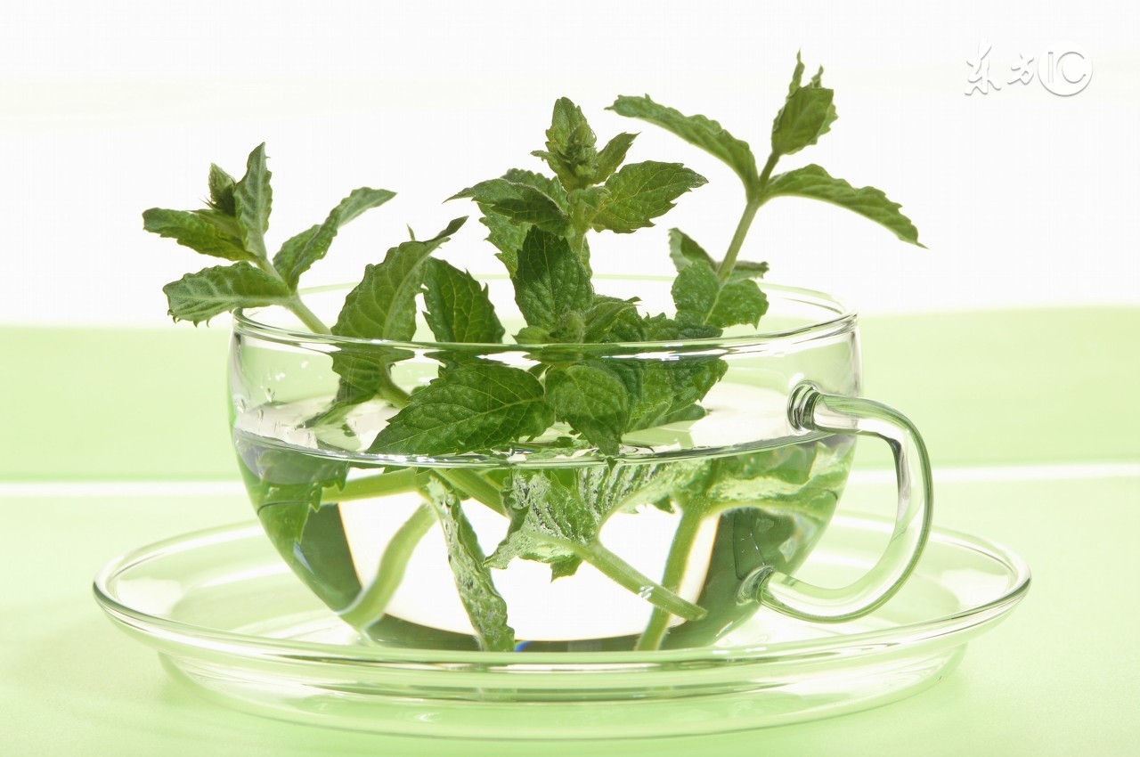 家有一宝如有一宝的下一句是什么,哪种草可以让人健康