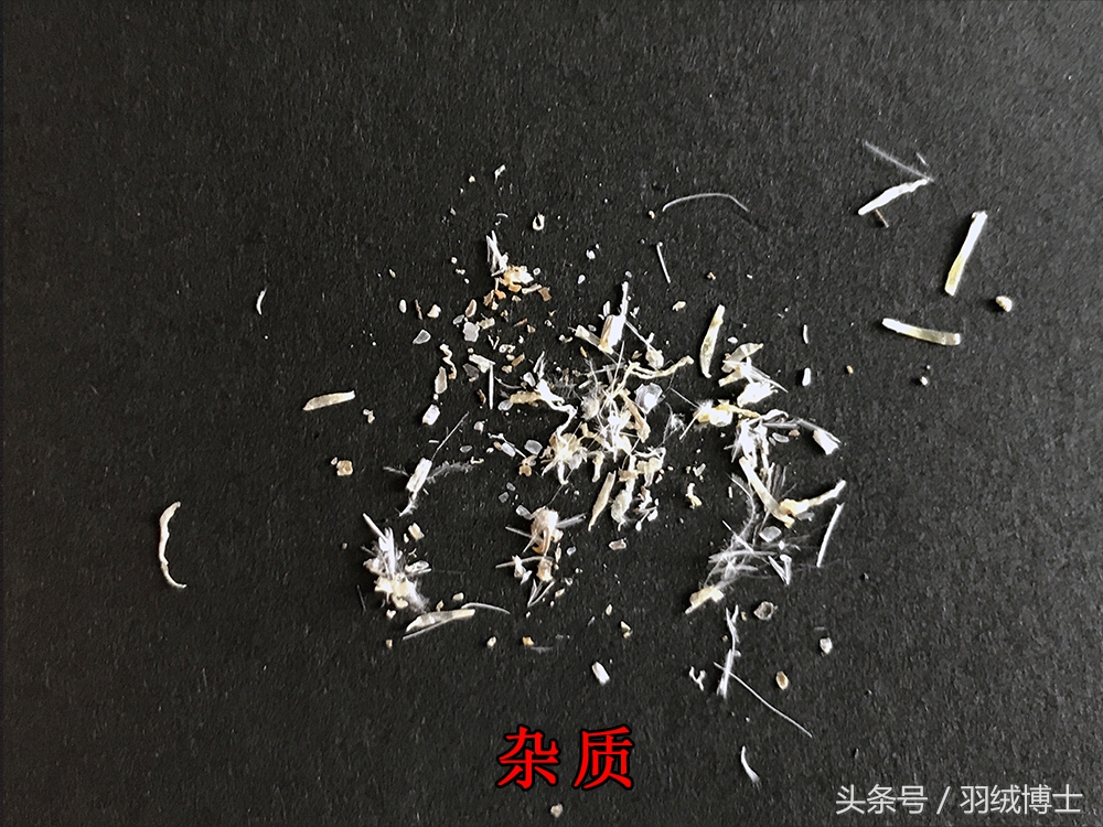 生产假冒伪劣羽绒服,羽绒服假冒伪劣产品