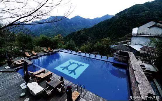 老树林,老树林春夏秋冬