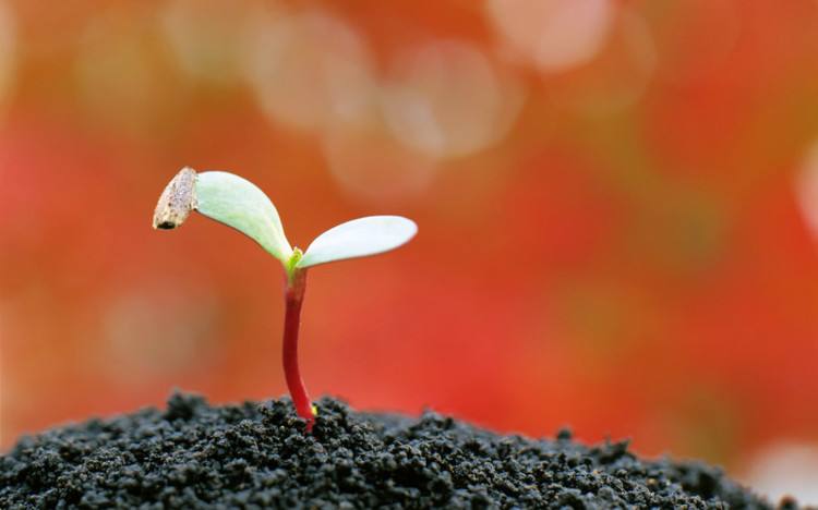 人生必看十大励志文章,天道酬勤正能量励志短文