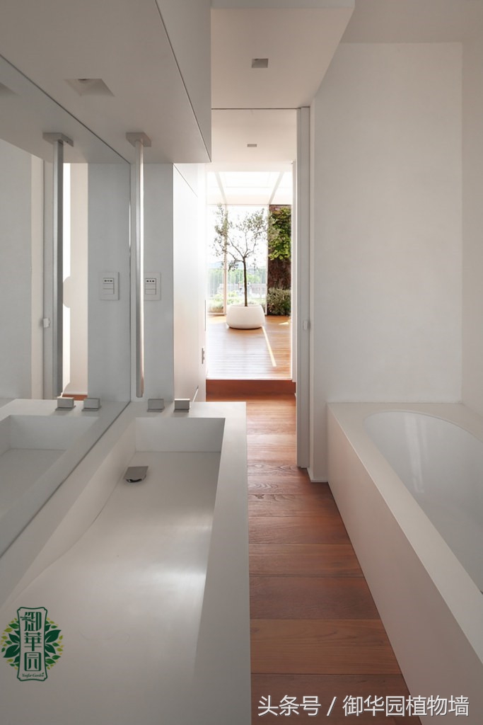 别墅植物墙设计费用,别墅大面积墙面设计