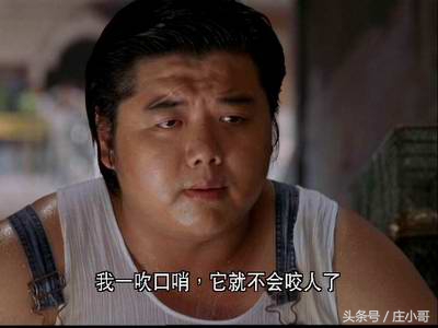 周星驰凭借少林足球拿下影帝,少林足球周星驰拿影帝