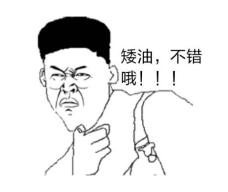 论ZB的十大境界