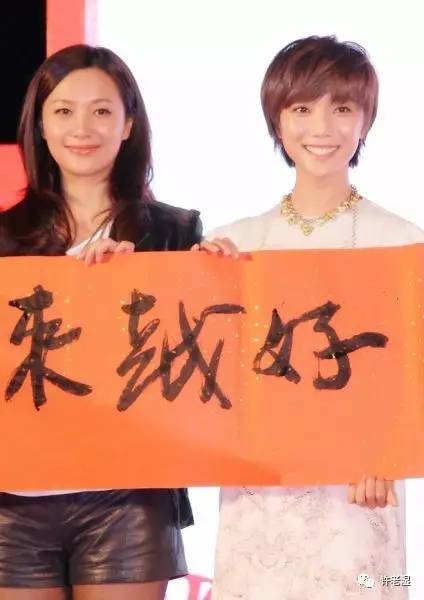 王珞丹在圈中的地位,王珞丹退出娱乐圈了吗