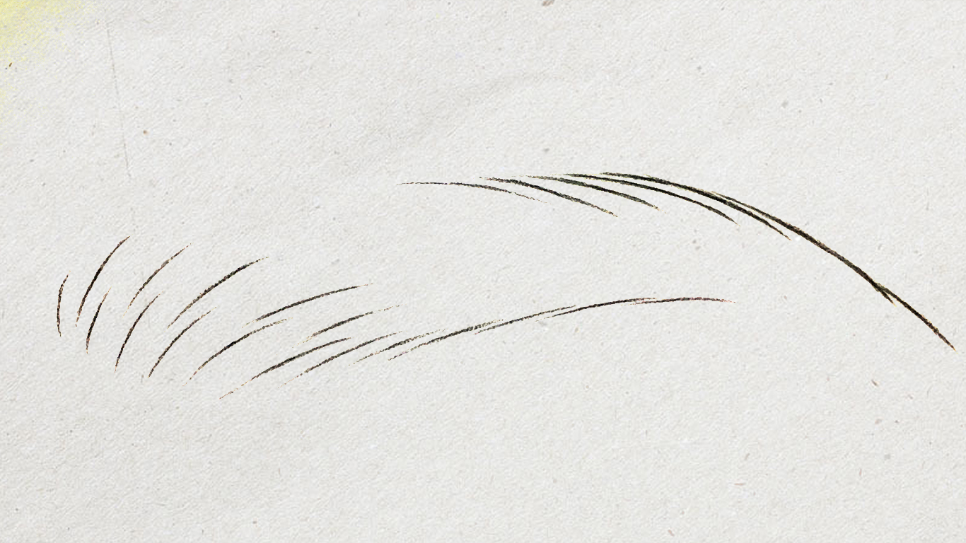 纸上仿生眉线条画法分解,线条眉纸上单根画法与步骤