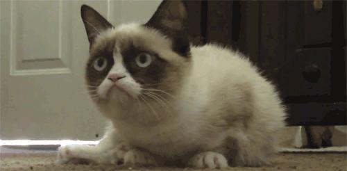 广州大多数人都知道的东西,广州本地人都不知道的好玩的地方