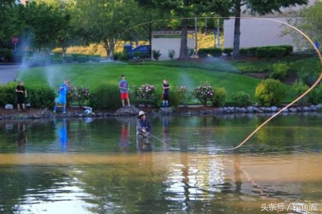 100元的竿和1000元的竿的区别,1000元鱼竿和100元鱼竿差别