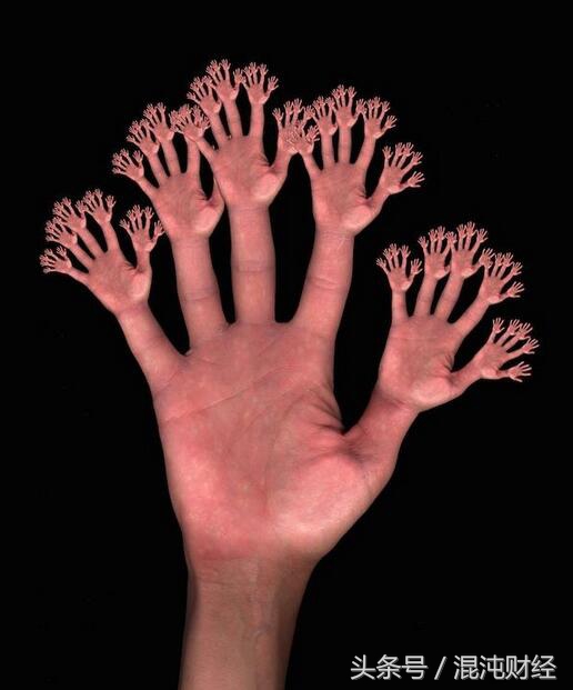 混沌交易法讲解视频,混沌交易战法指标源码