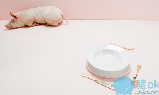 母猪产后厌食管理方法,母猪产后食欲低浑身发抖