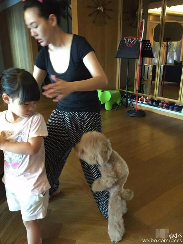 小s豪宅被女艺人比拼,小s深圳豪宅