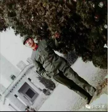 老兵情怀让人泪目,老兵情怀