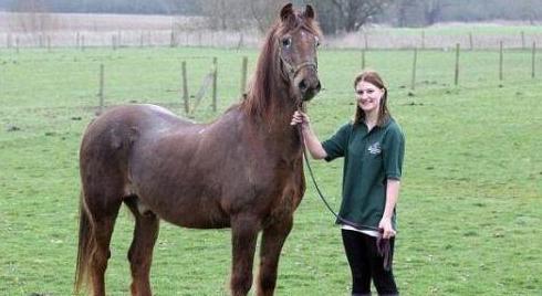 存在了上亿年不死的生物,全世界最可怕的十种不死生物