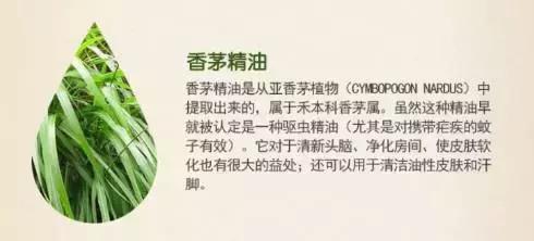 驱蚊贴婴儿专用日本叮叮,儿童防蚊神器驱蚊贴