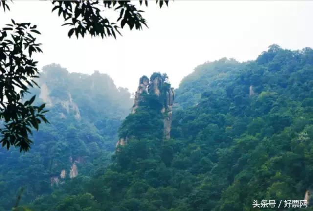 高校学生进山洞,名校学生走进清华大学