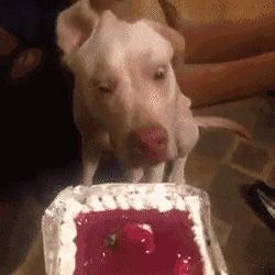 每天一笑去掉烦恼,淡忘忧愁每日一笑