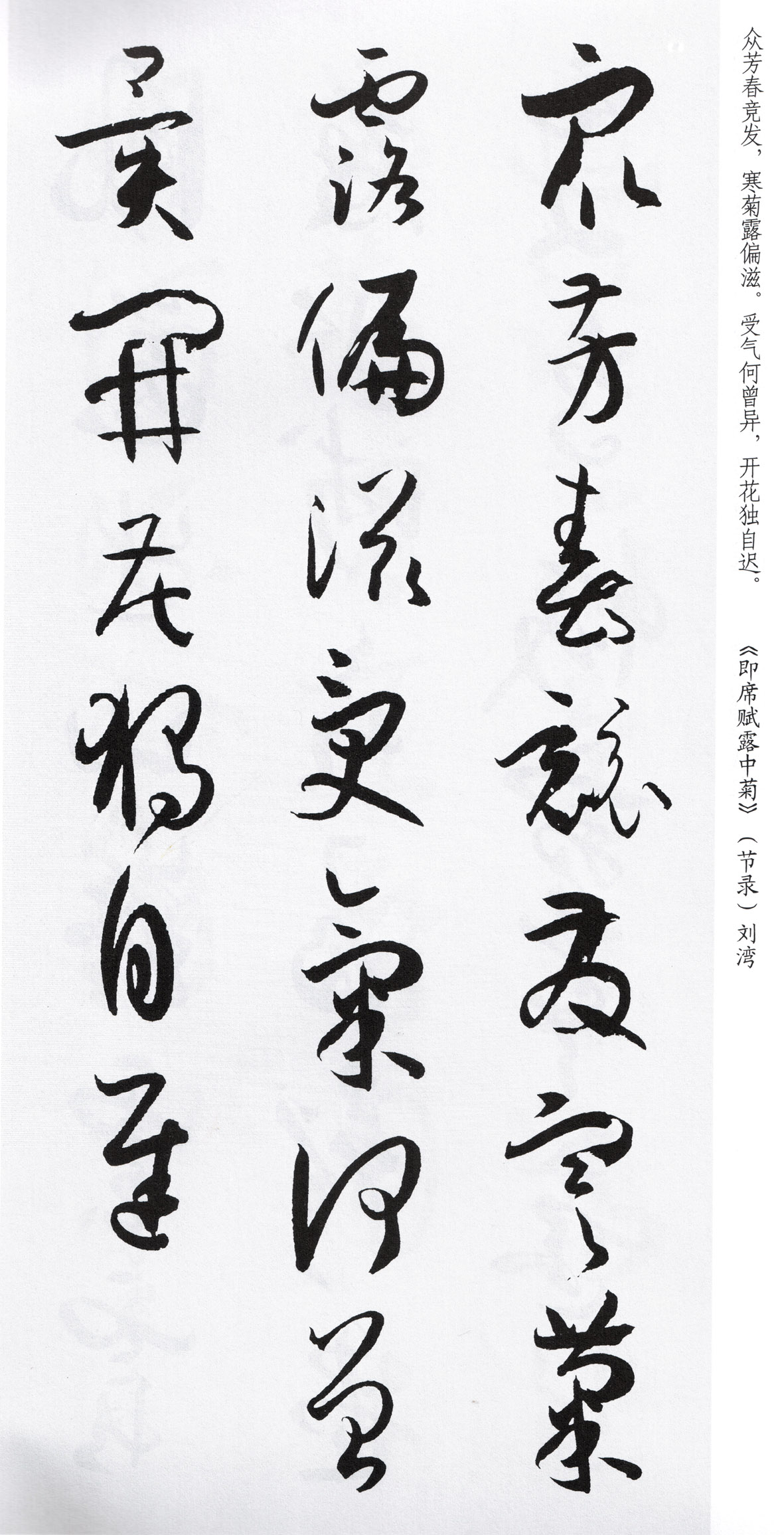 王羲之草书集字古诗作品,赵体草书古诗集字