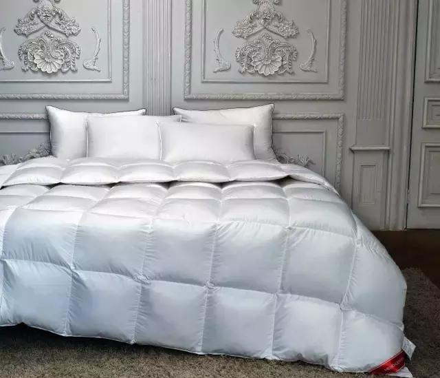 羽绒被的四个世界纪录